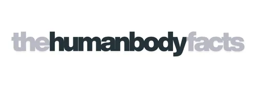 About the Blog About the Blog