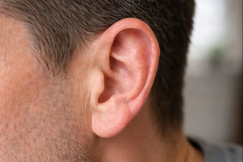 Darwin’s Ear Tubercle Test: Why Some Humans Still Have a Small Ear Bump